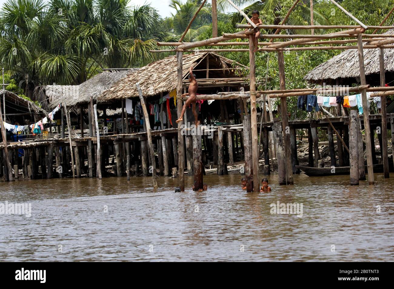 Warao's House, Idians Living in Orinoco Delta in Venezuela Stock Photo