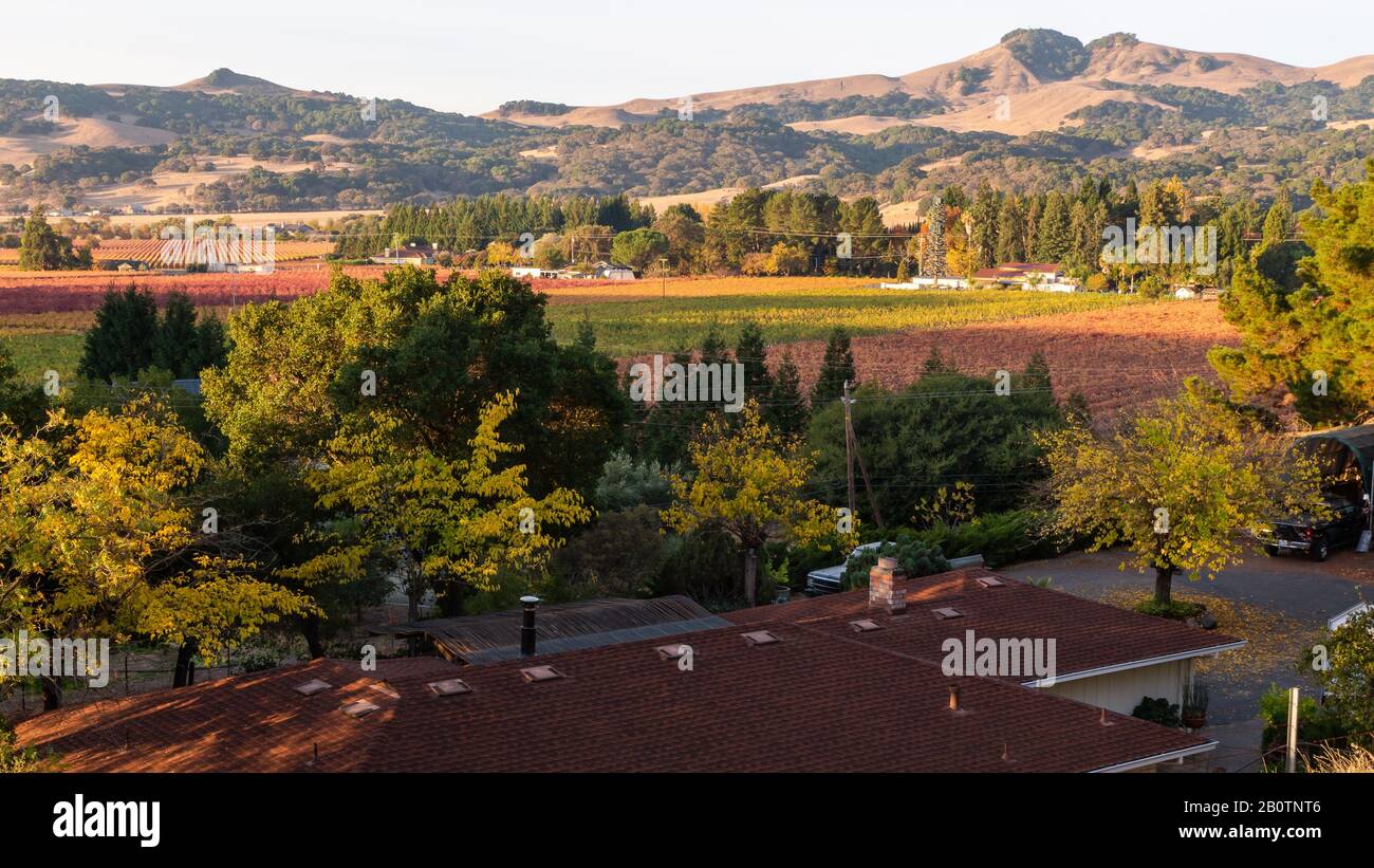 Autumn across the vineyards in Green Valley Solano County, California Stock  Photo - Alamy