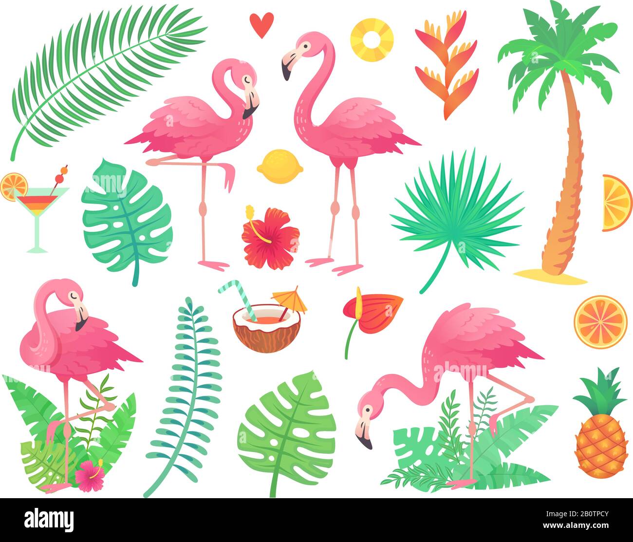 Pink flamingo and tropical plants. Beach palm, african plant leafs, rainforest flower, tropic palms leaf and rosy flamingos vector set Stock Vector