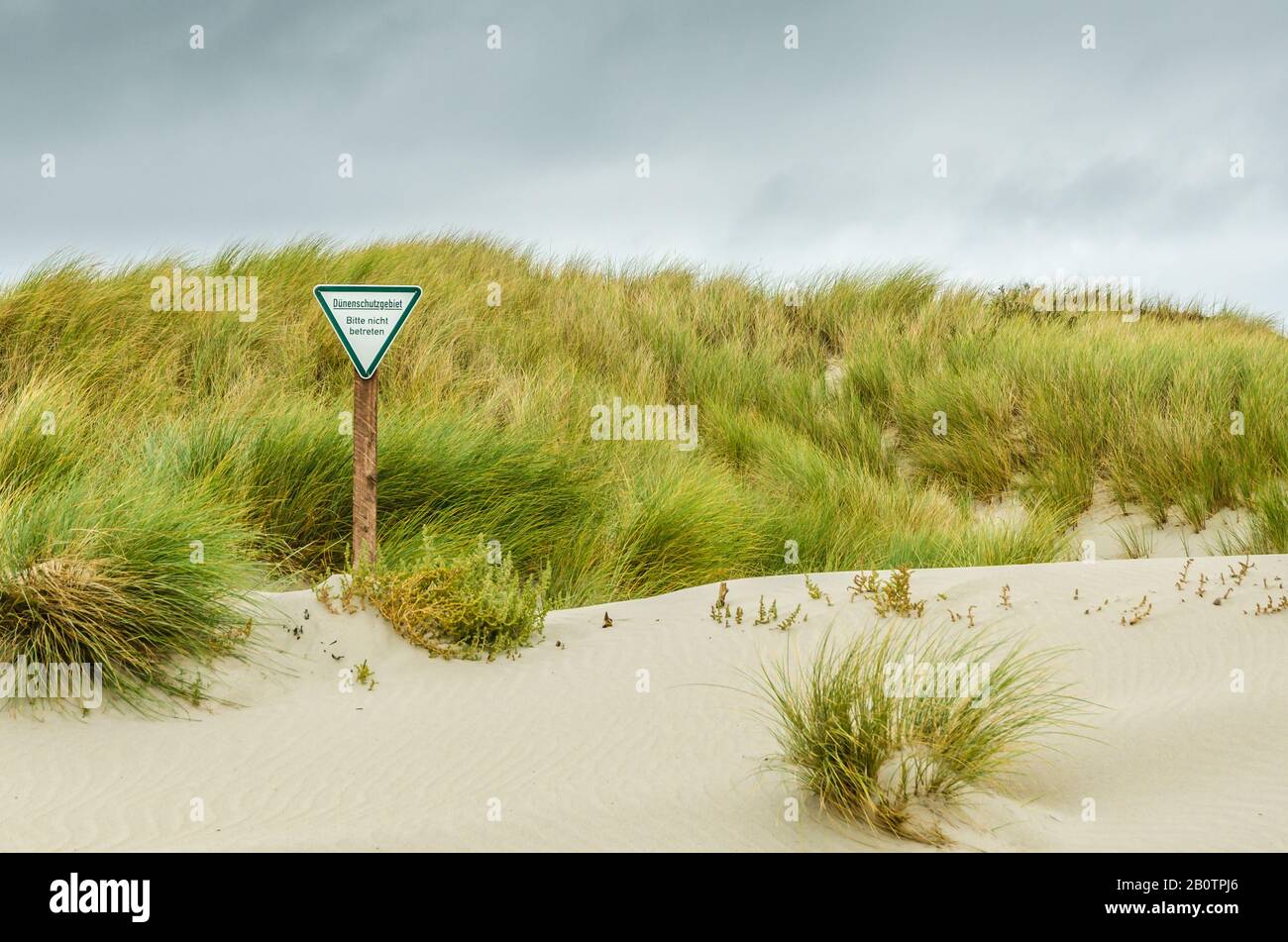Dune landscape on the island of Helgoland Stock Photo