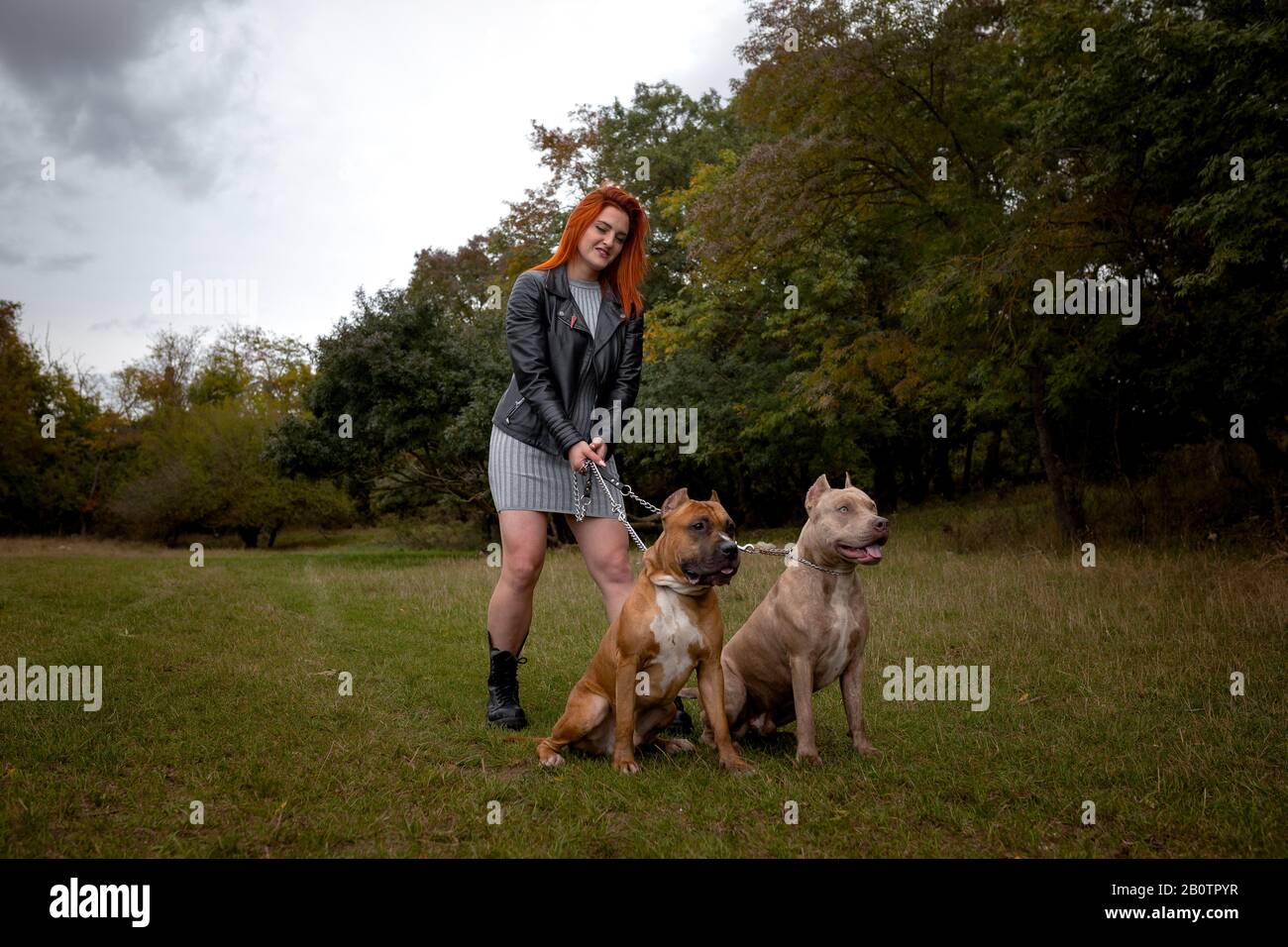 Beautiful young woman in a leather jacket and heavy boots strolling with two American Staffordshire pit bulls in strict collars. Strong woman holds do Stock Photo