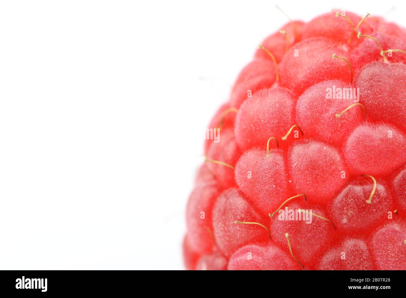 raspberry isolated on white with copyspace Stock Photo