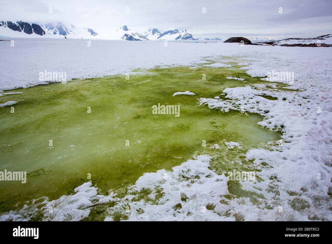 Green iceberg antarctica hires stock photography and images Alamy
