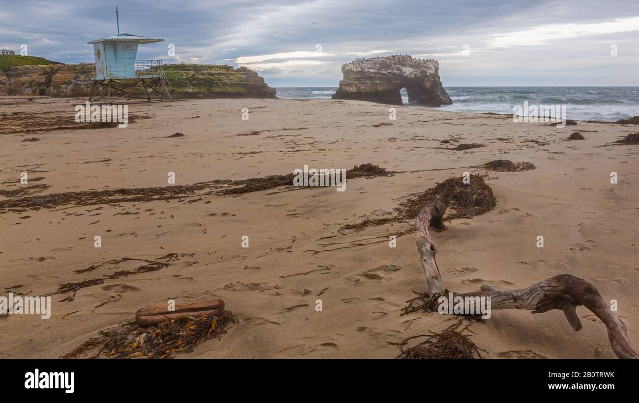 Santa Cruz California, a blustery seascape beach & eroding rock with perched birds nestling. A lifeguard station remains closed for better weather. Stock Photo