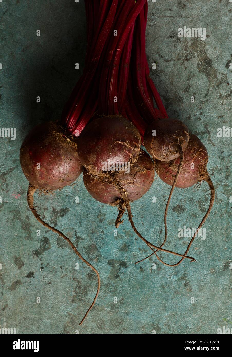 Beautiful beetroot hi-res stock photography and images - Alamy