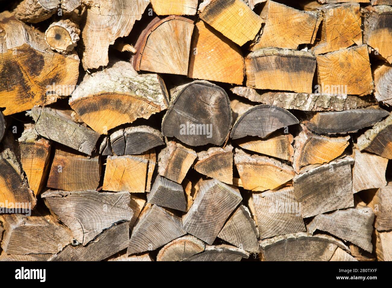 Picture shows wood drying out before being put on a fire. Owners of