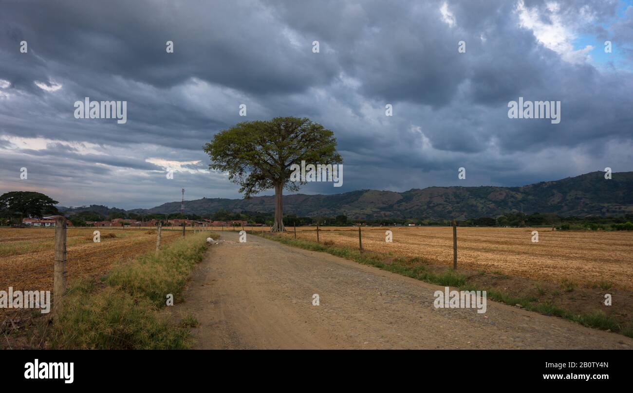 Colombian scenery hi-res stock photography and images - Alamy