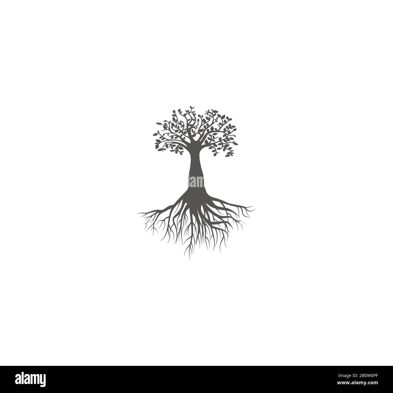 Golden tree roots Stock Vector Images - Alamy