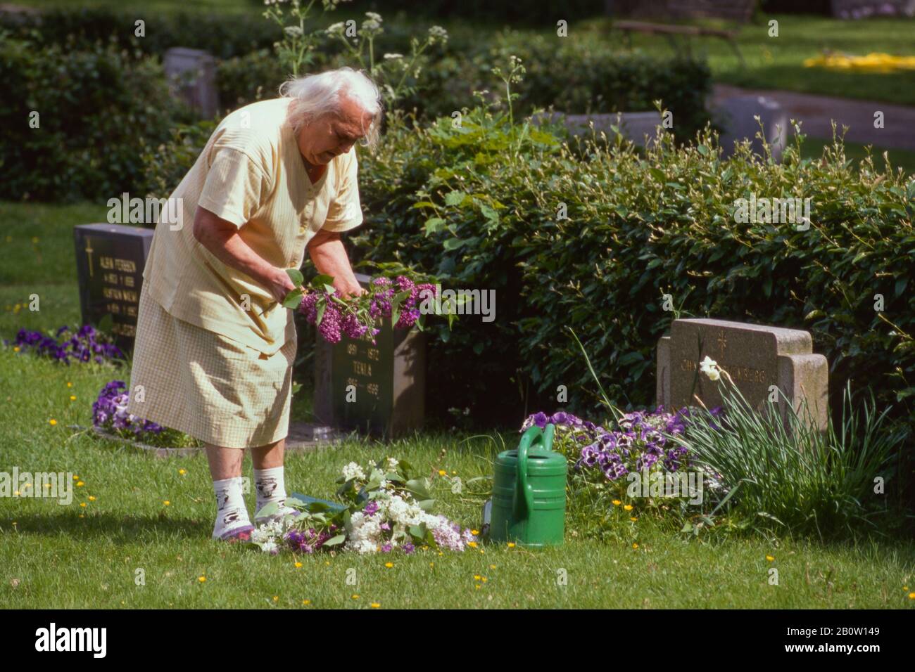 En äldre kvinna sköter om en grav, Skinnskatteberg, Västmanland, Sverige. Stock Photo