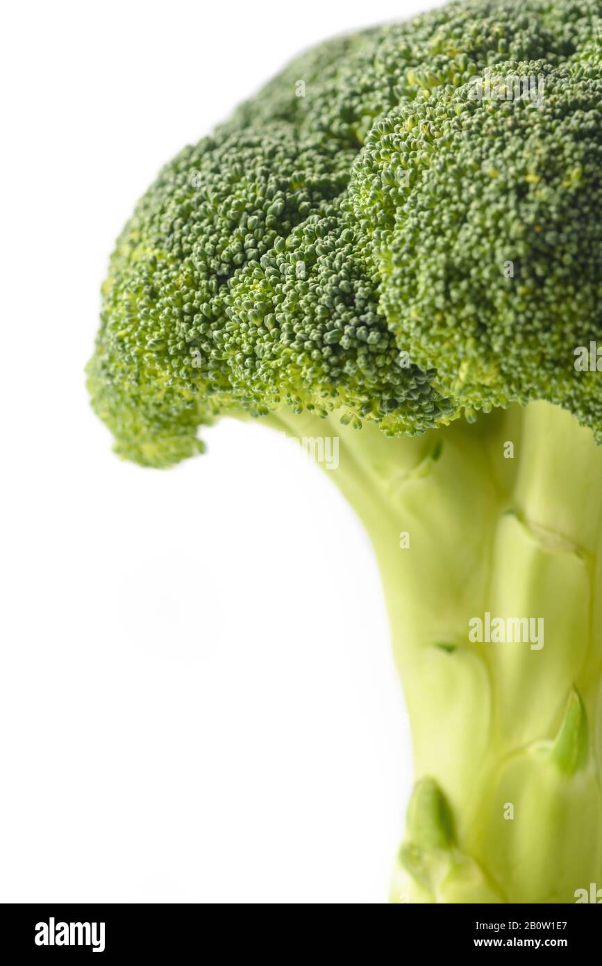 Broccoli isolated on white background. Vegetables natural source of