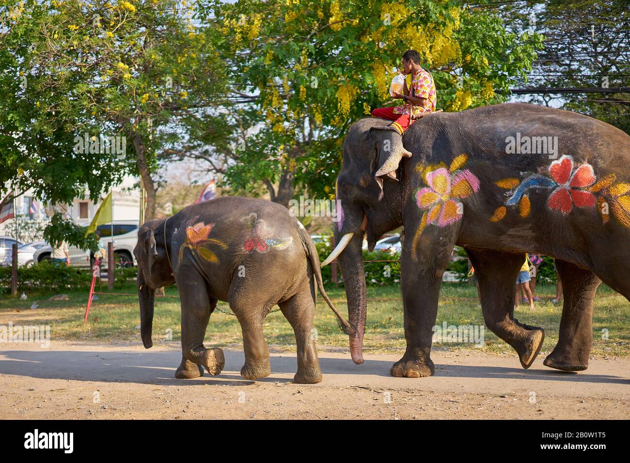 Elephants painted for Songkran holiday, which is New Year in Thailand. Stock Photo