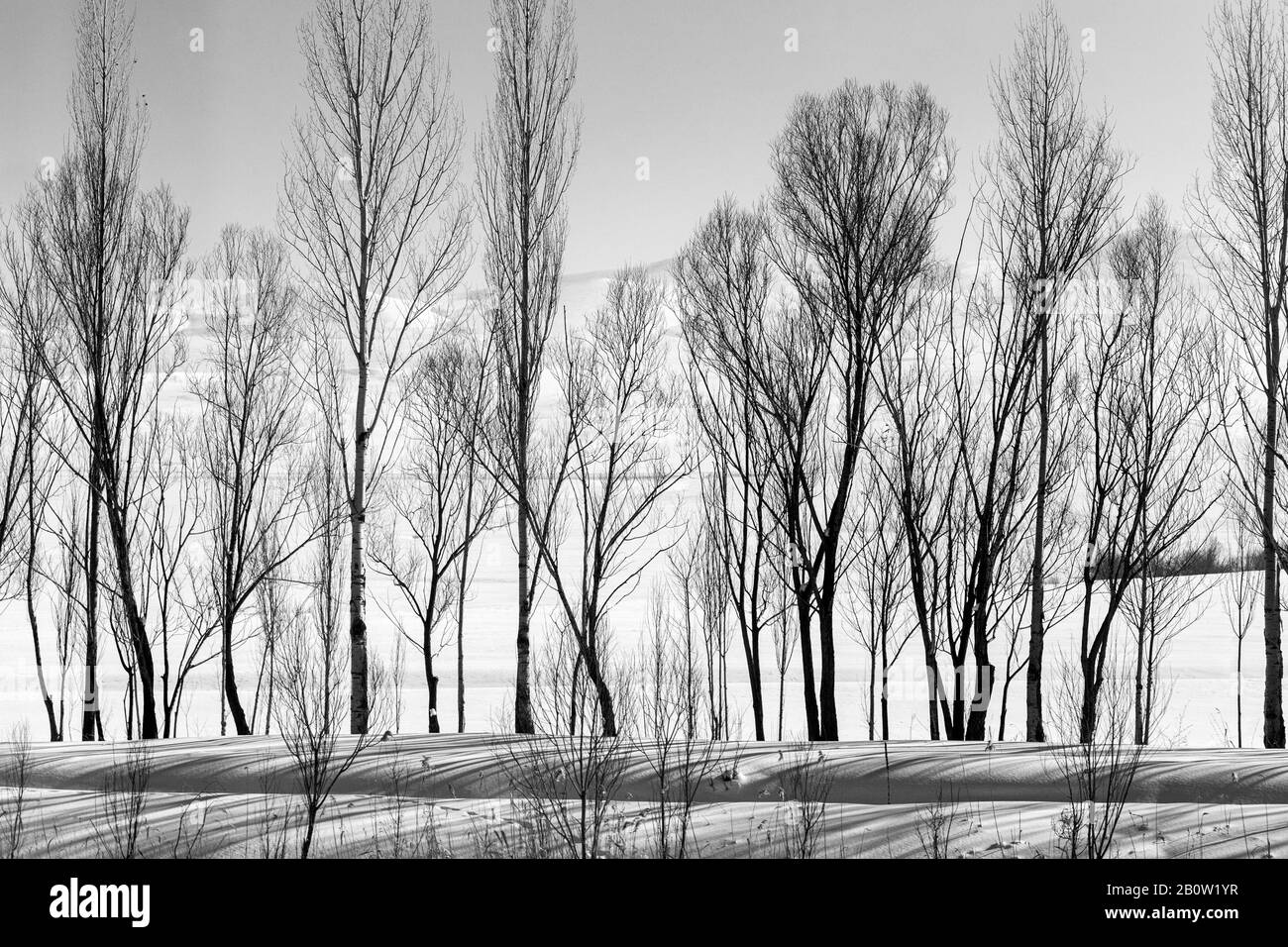 Black and white scenic photos hi-res stock photography and images - Alamy