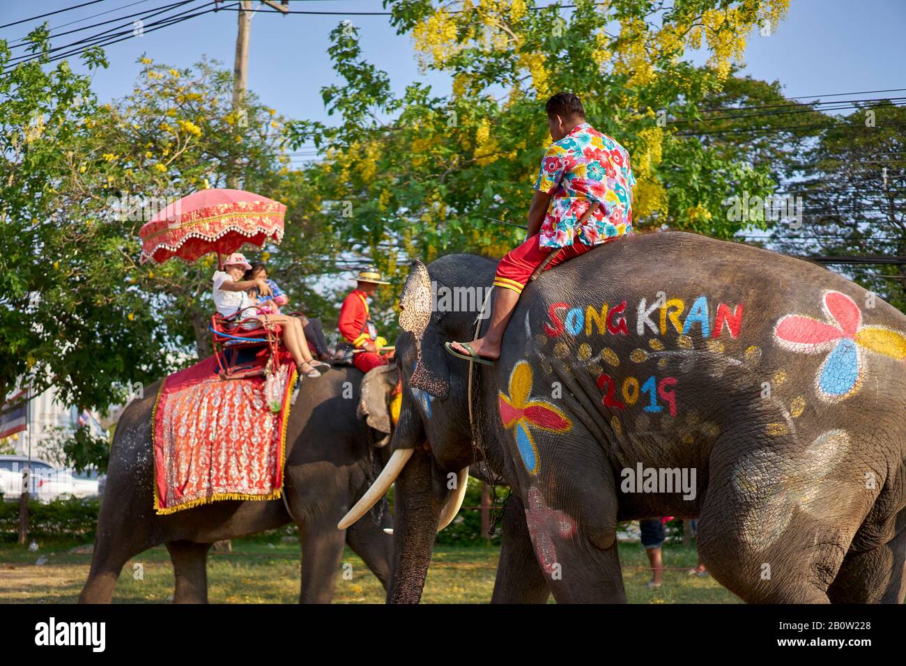 Take the family on an elephant for a vacation. Stock Photo