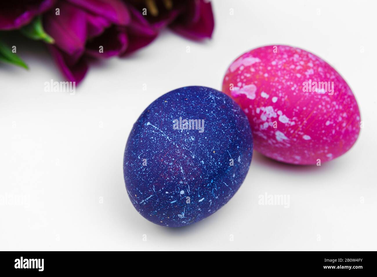 Easter eggs with tulips flowers on white background Stock Photo - Alamy