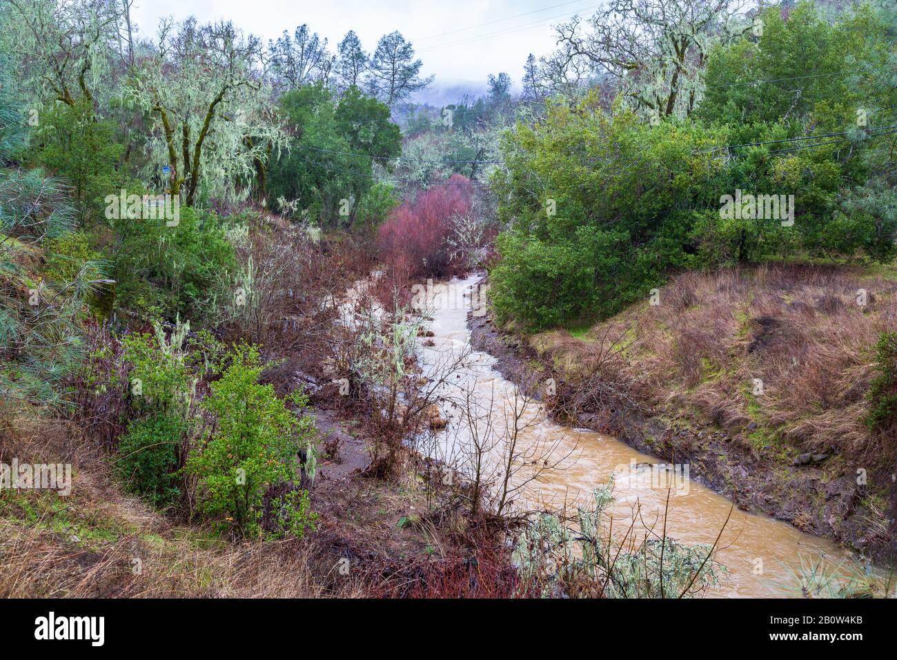 Muddy Brook After the Drought Stock Photo