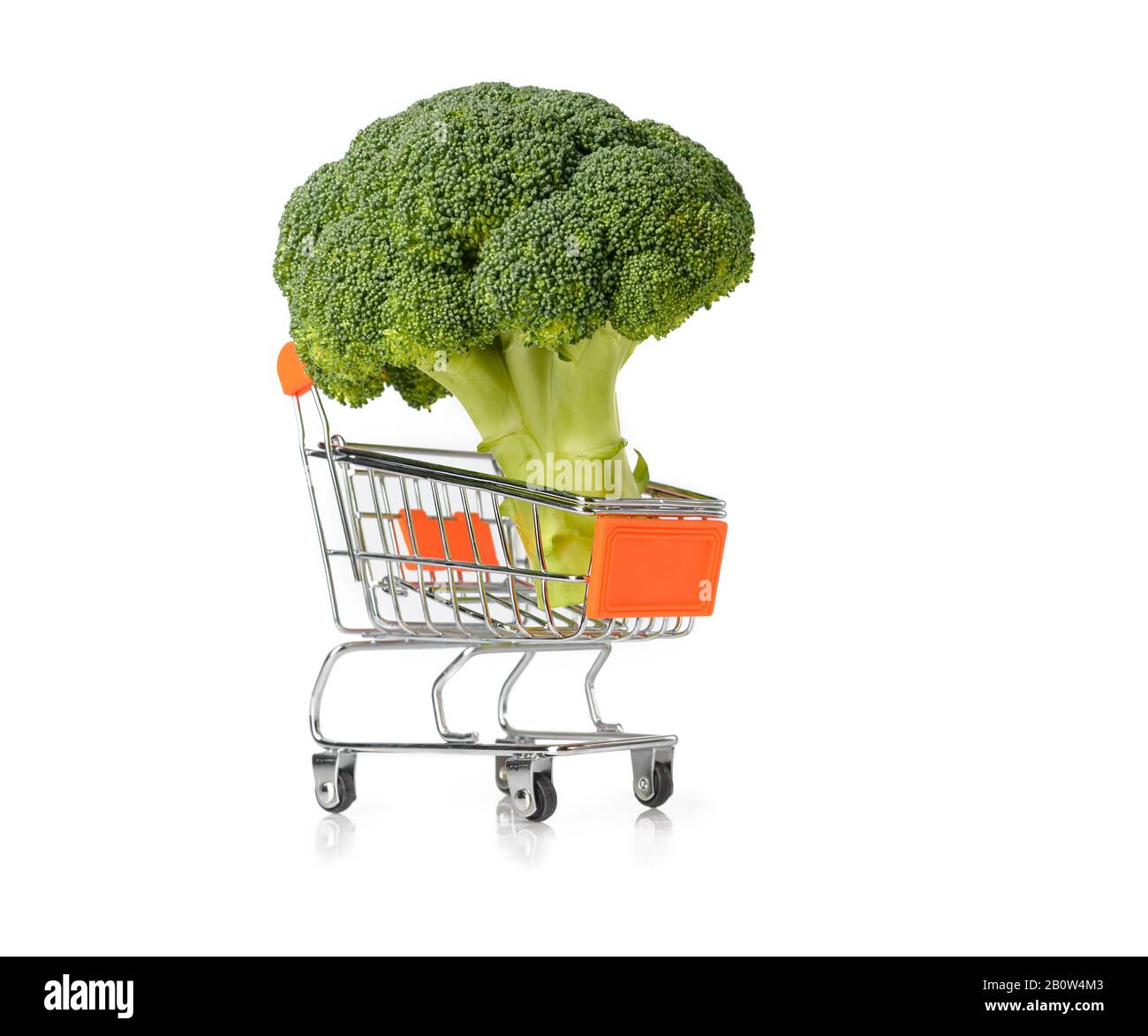 Fresh broccoli. Broccoli in the grocery cart. Shopping cart isolated on white bacnground. Брокколи. Broccoli isolated on white background. Copy space Stock Photo