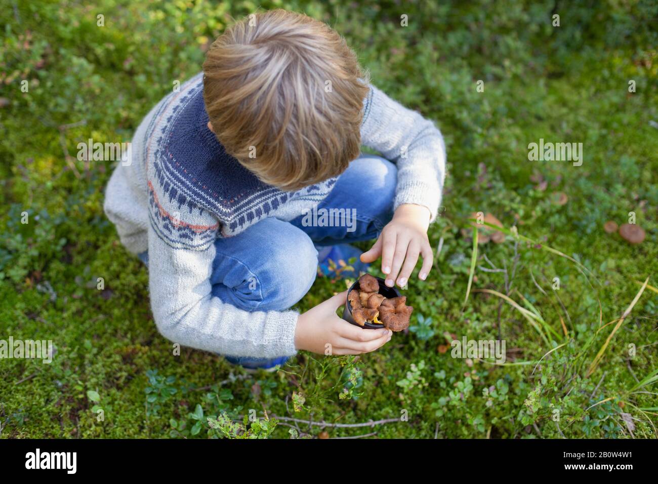 Boy picking up wild mushrooms in forest Stock Photo