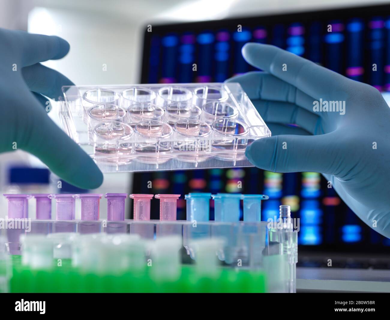 Scientist pipetting DNA samples into microcentrifuge tubes during an experiment in the laboratory with the DNA profile on the monitor screen. Stock Photo