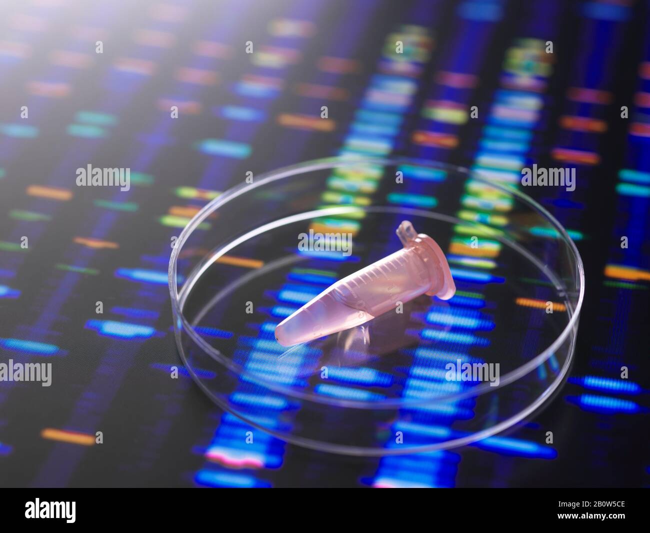 Close up of DNA samples in microcentrifuge tubes with the DNA profile ...
