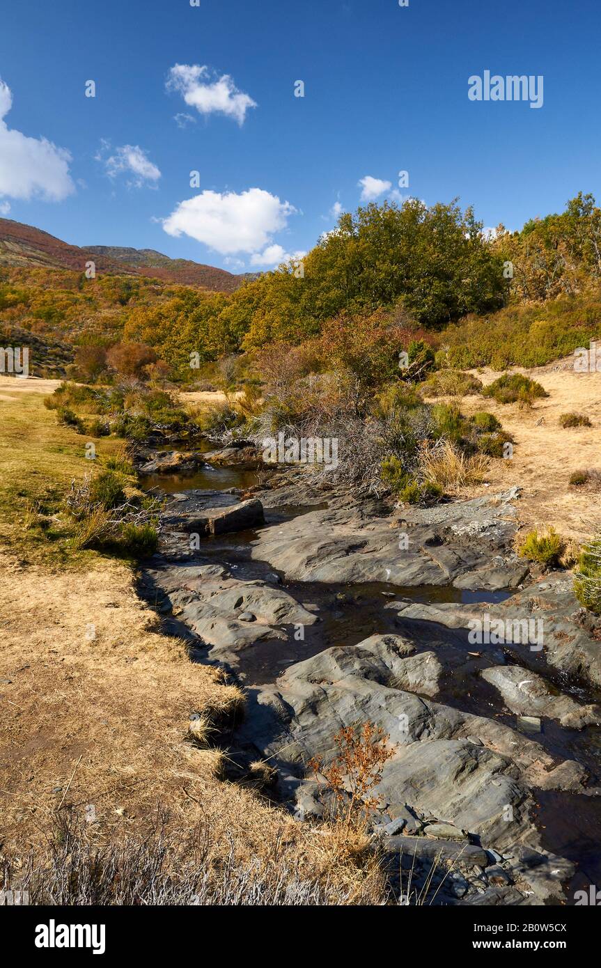 Lillas river in autumn in Hayedo de Tejera Negra (Parque Natural Sierra Norte de Guadalajara, Cantalojas, Guadalajara, Castilla-La Mancha, Spain) Stock Photo