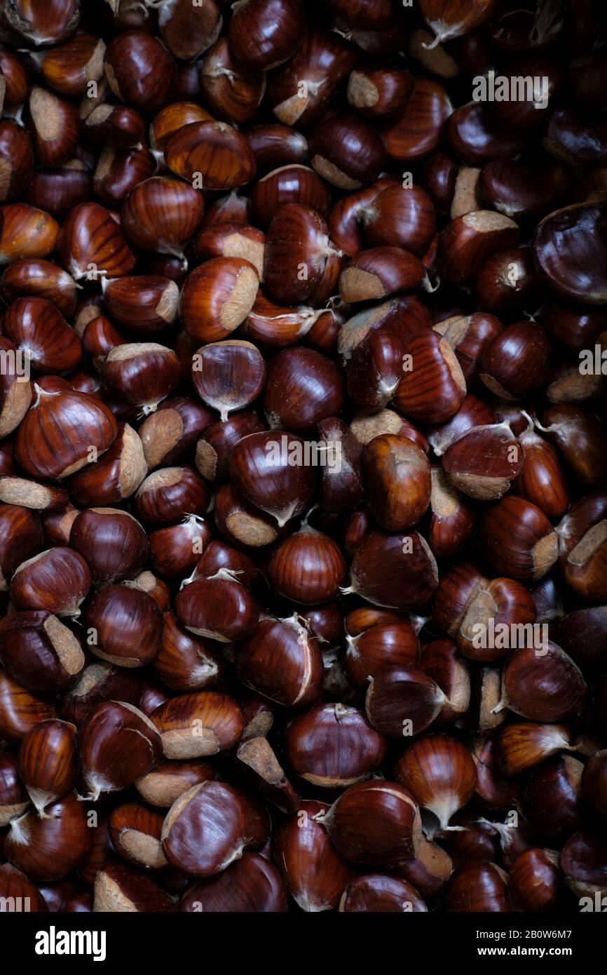 ripe chestnuts in Italian food market Stock Photo