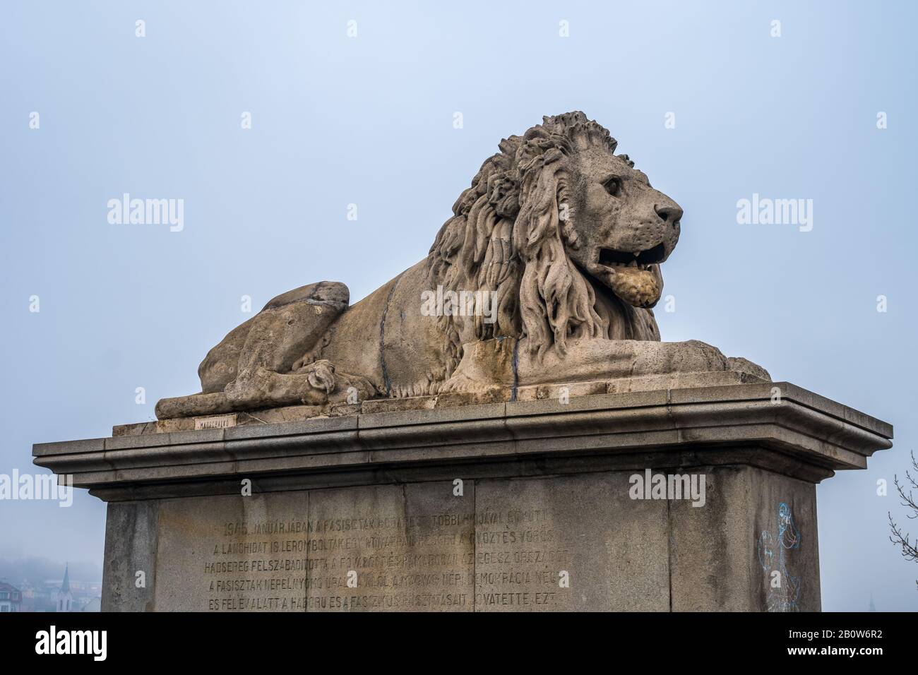 Lion on Chain Bridge on the Danube River in Budapest, Hungary Stock ...