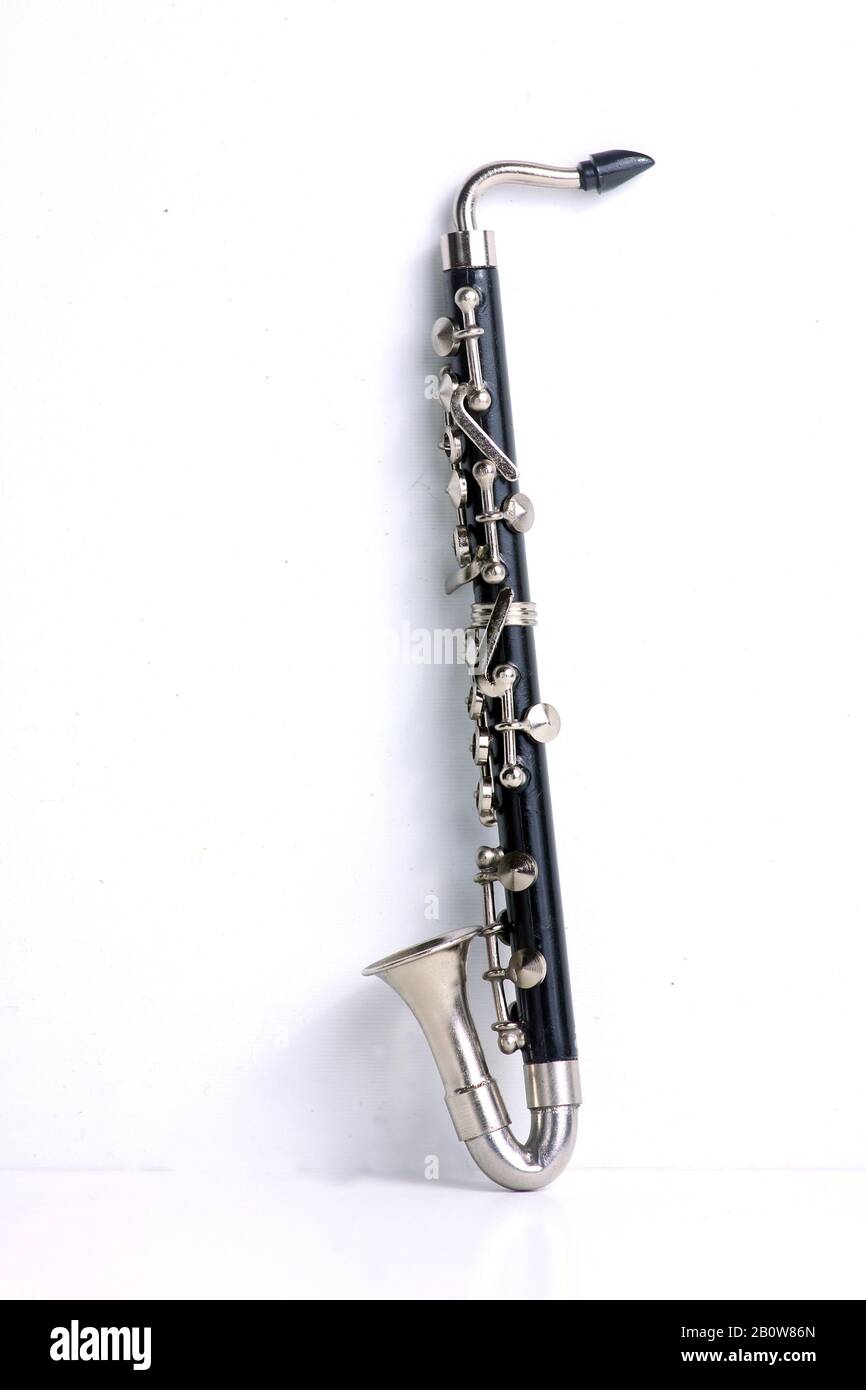 bass isolated on white background. Image contains copy space