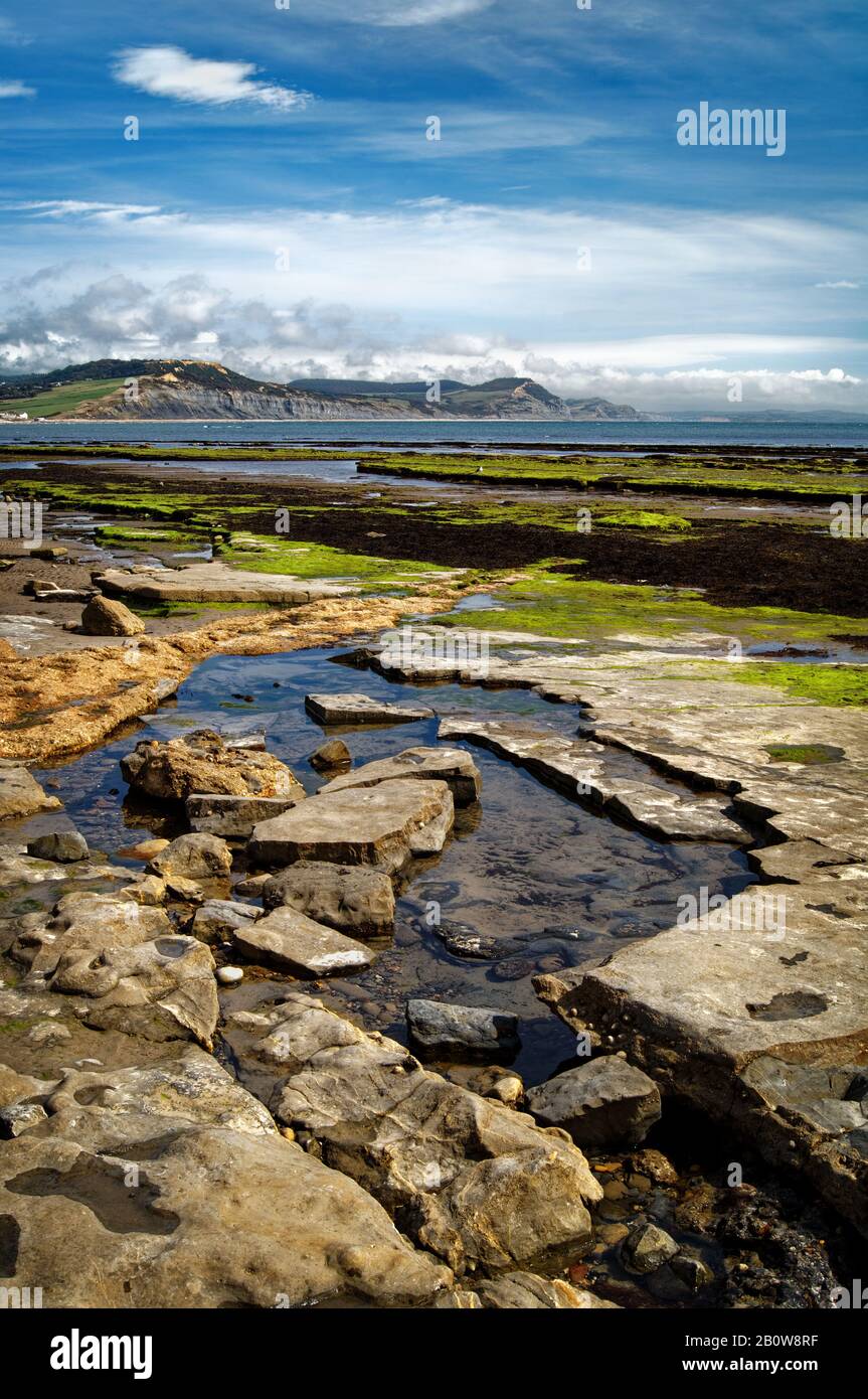UK,Dorset,Lyme Regis,East Cliff Beach looking towards Golden Cap and