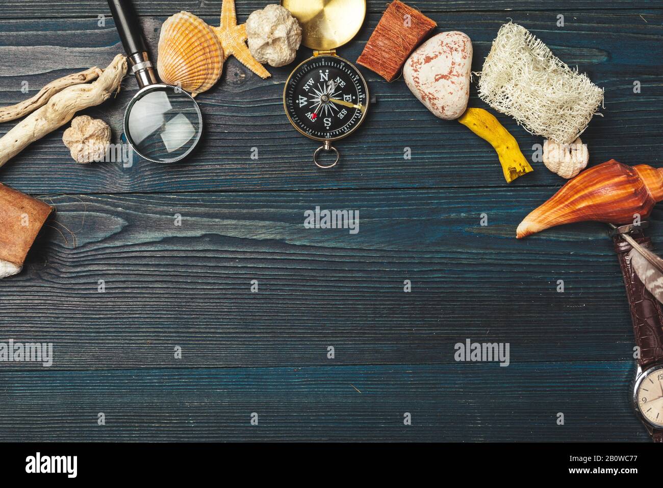 seashells and compass. beautiful sea composition with shells and ...