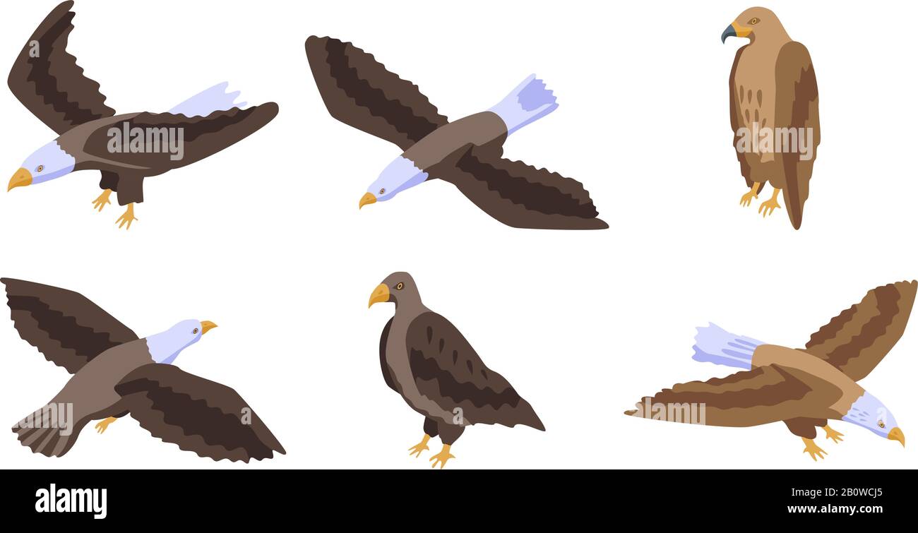 Eagle icons set, isometric style Stock Vector