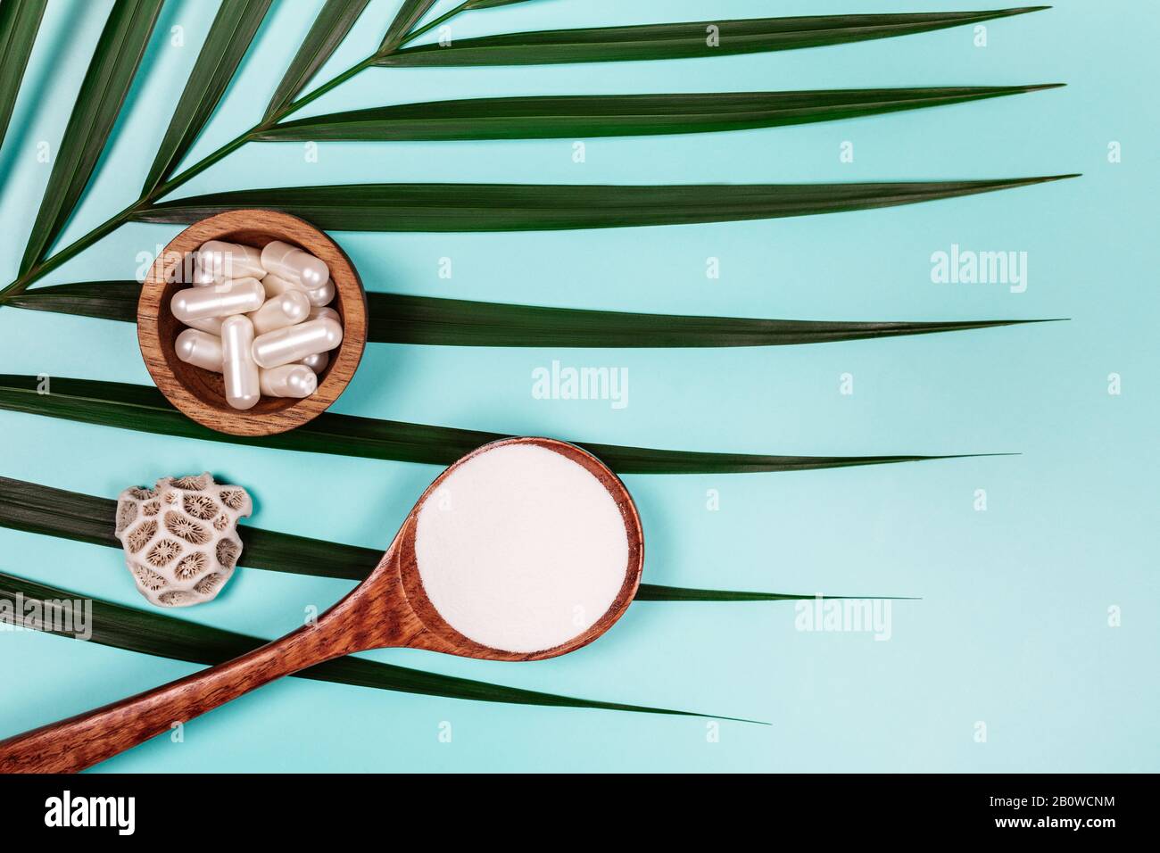 Different types of collagen on palm leaf. Powder, capsules, tablets and fluid. Stock Photo