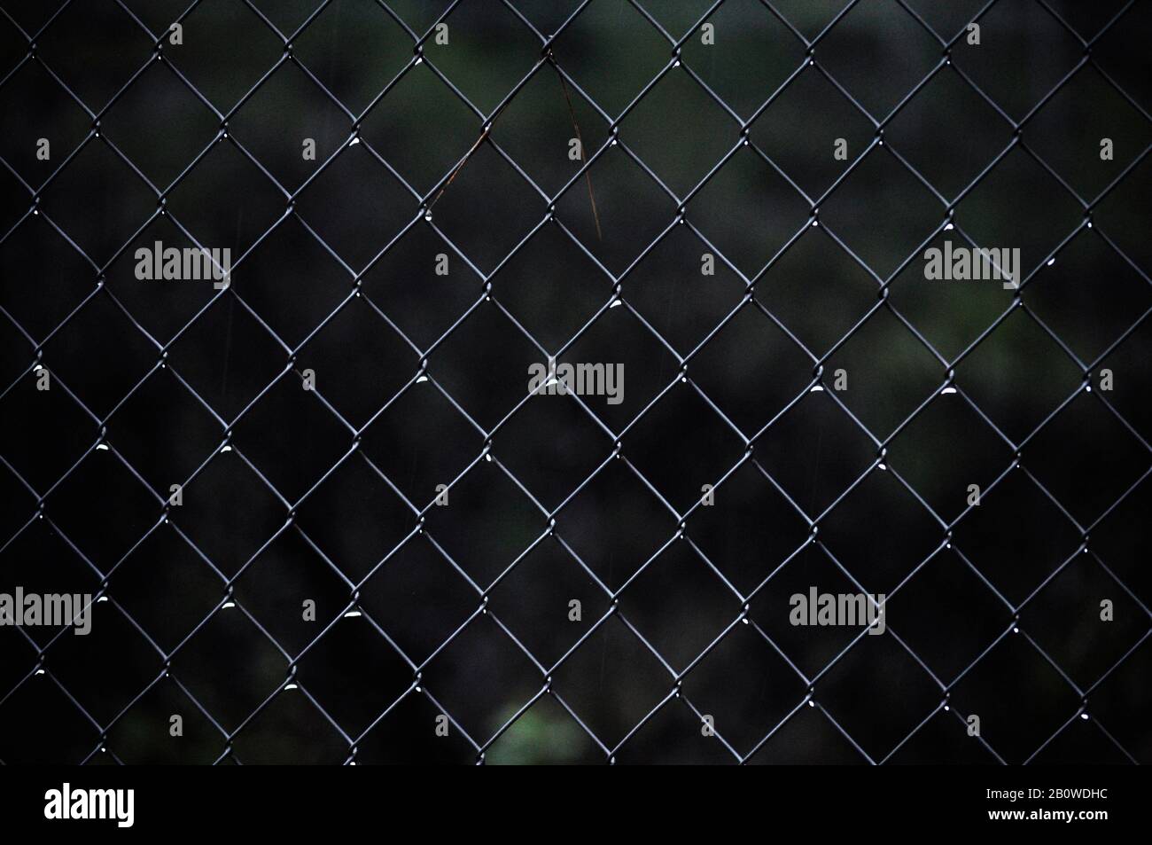 Full frame of wire mesh of dark cage design background bathed in raindrops/ Metal surface wet with droplets/ Abstract imagery for book covers Stock Photo