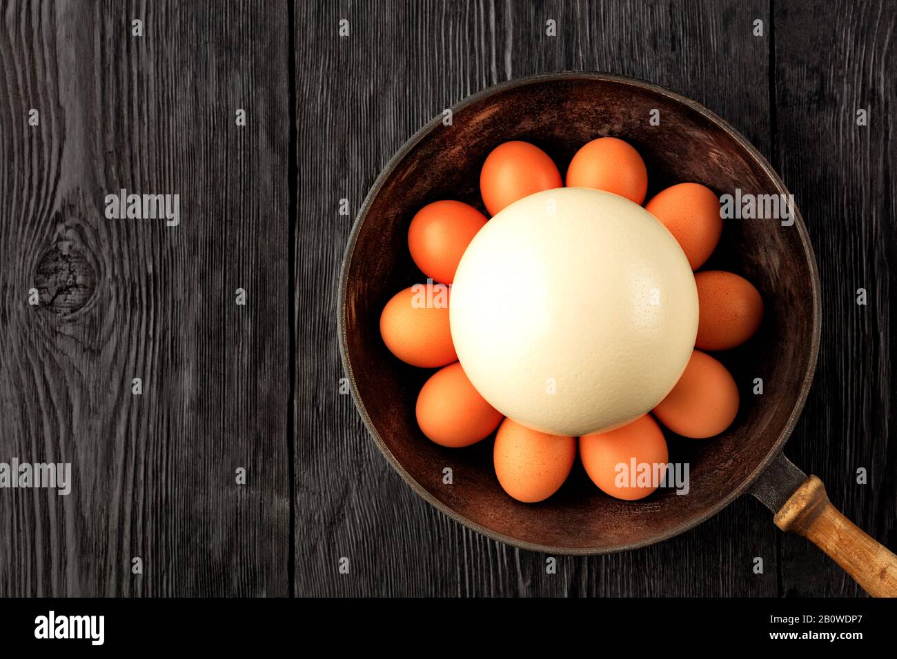 Large ostrich egg surrounded by chicken eggs in an old cast-iron pan, close-up. Stock Photo
