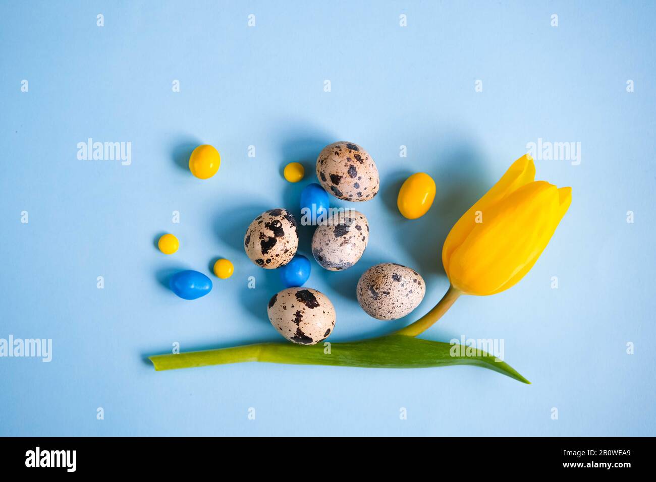 Blue spring and Easter background with quail eggs colorful candies and yellow tulips. Top view with copy space Stock Photo
