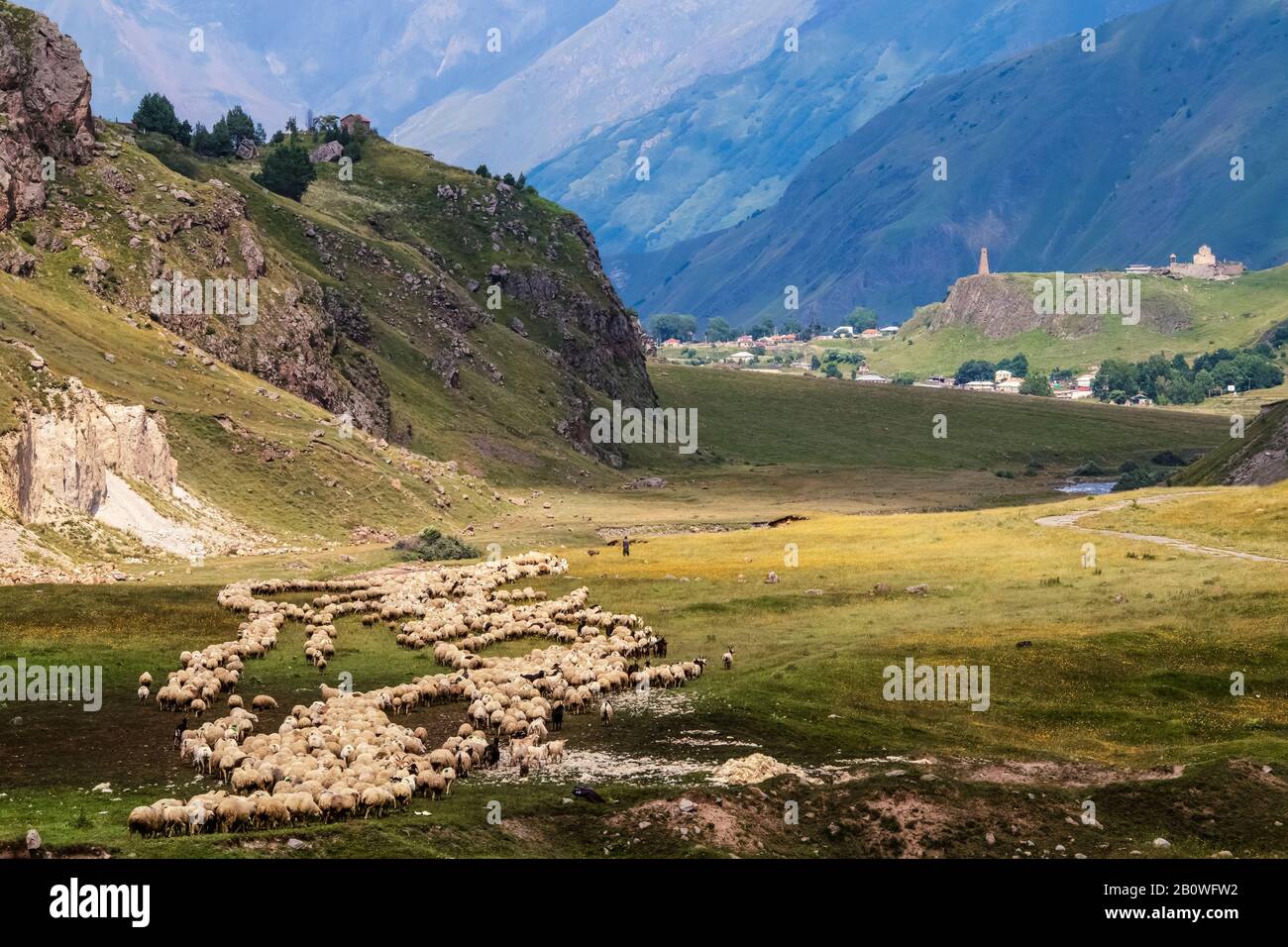 Herd of sheep and goats grazing in the mountains with shepherd and dog and fortified church and village in background and house with cross high on a h Stock Photo