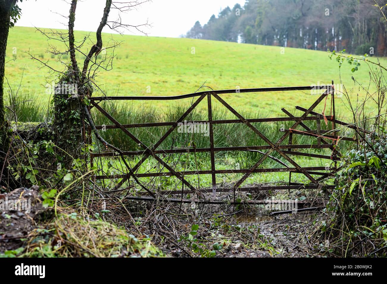 Farm Gate in Ireland Stock Photo