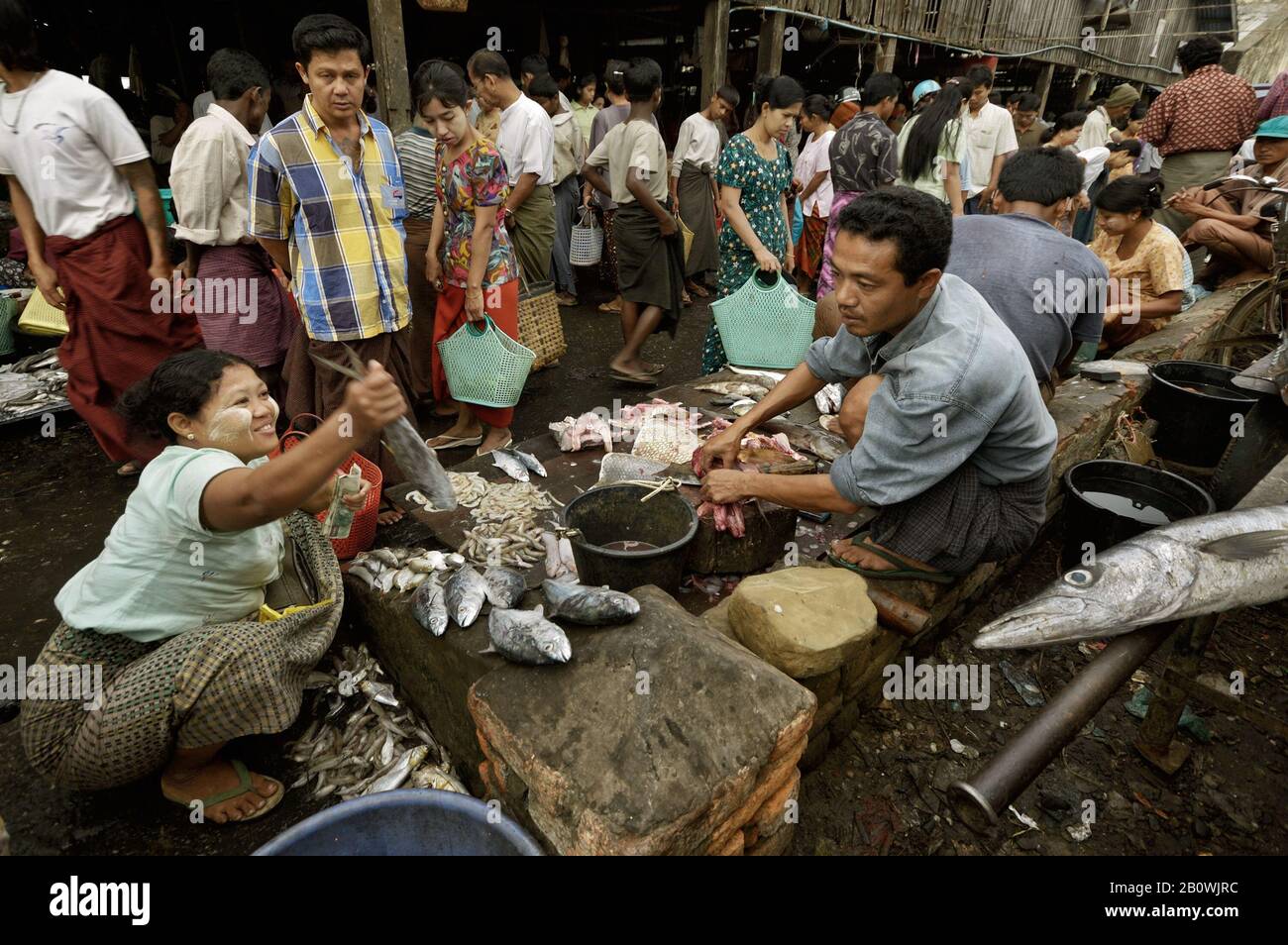 Customer and fishmonger at the Sittwe fish market, Rakhine State, Myanmar Stock Photo