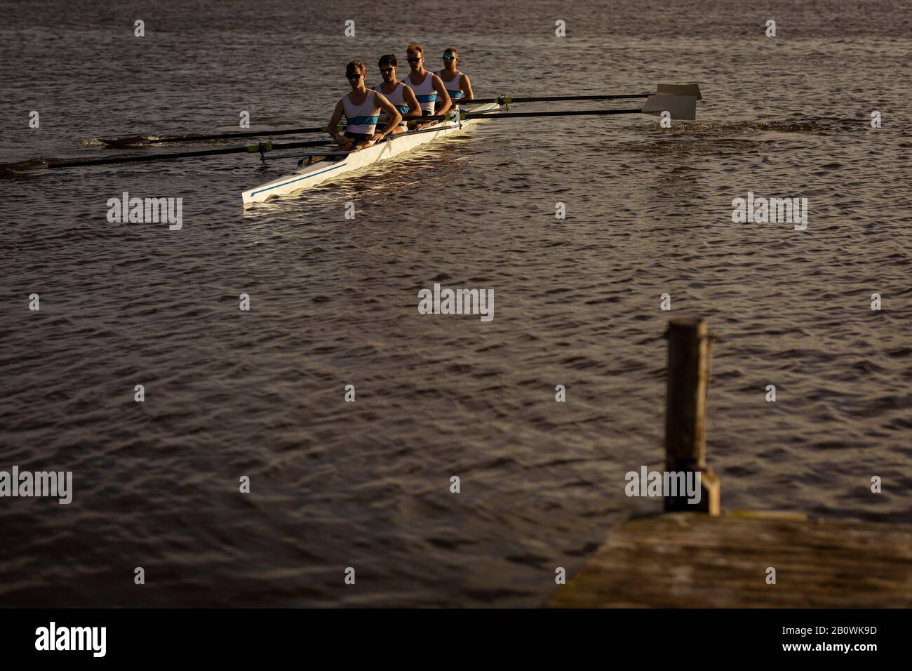 Teammates rowing on the water Stock Photo