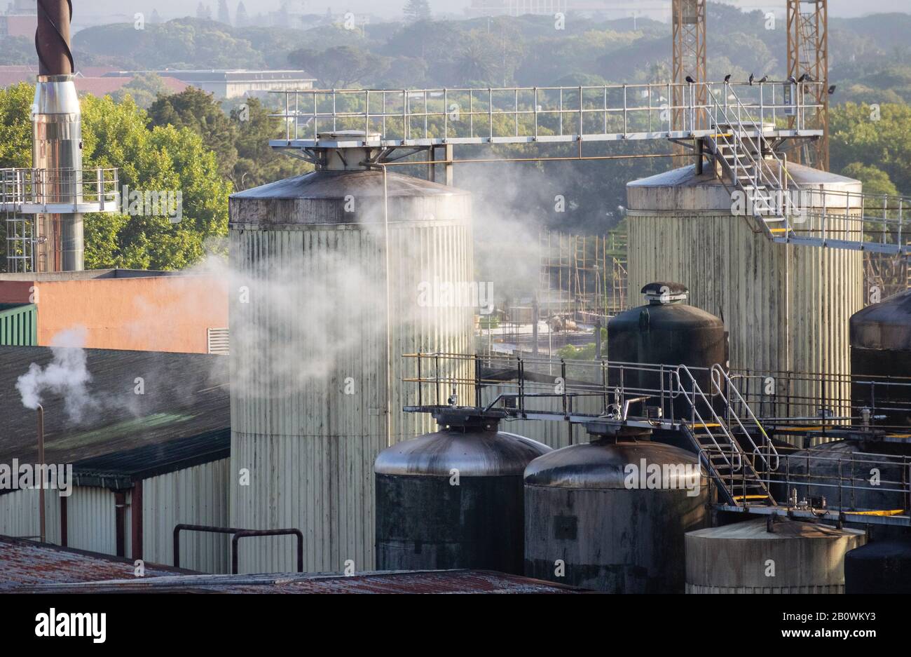 Newlands, Cape Town, South Africa. Dec 2019.  Overview of a brewery in production, tanks and steam Stock Photo