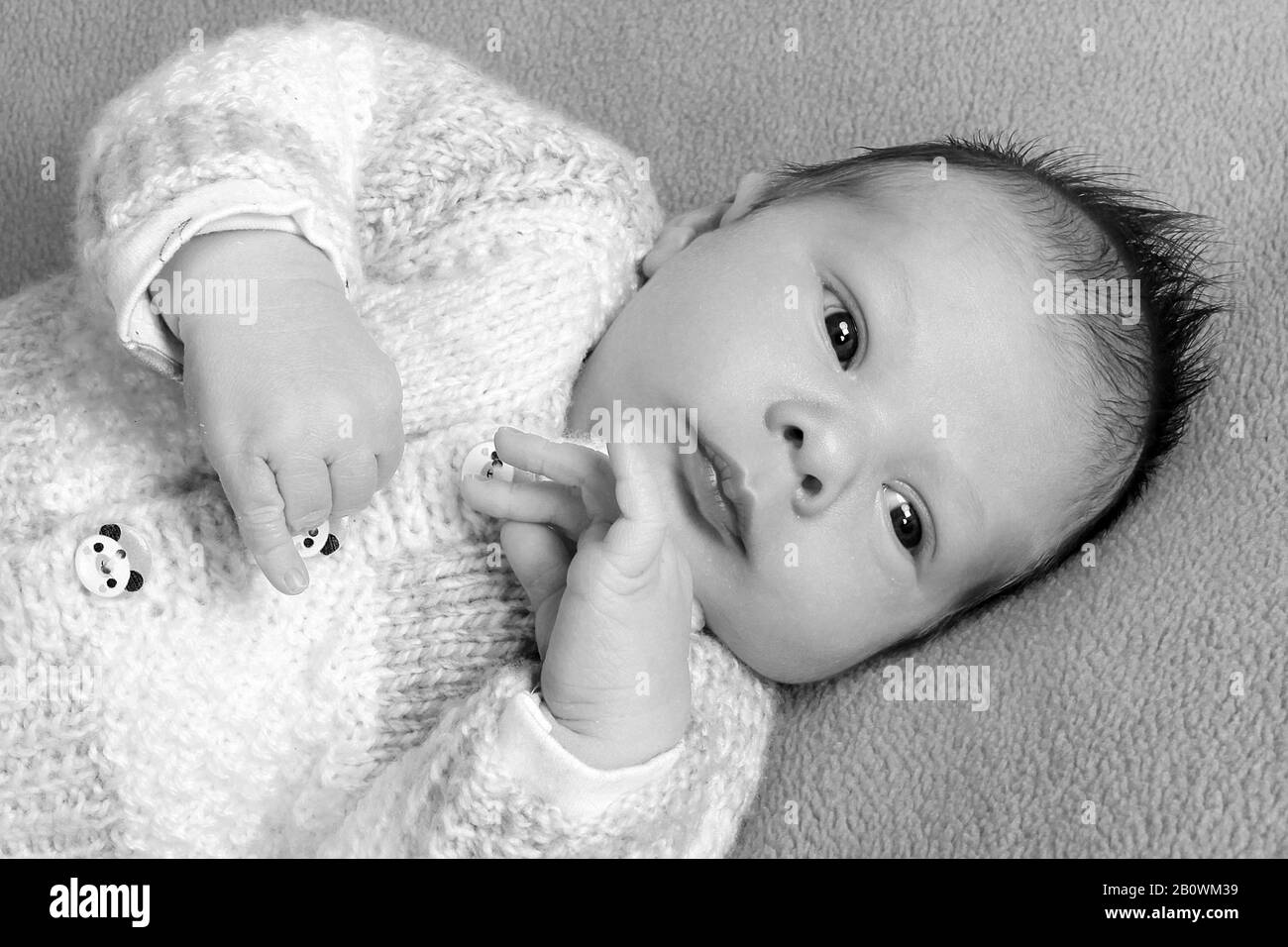 Beautiful baby boy Stock Photo Alamy