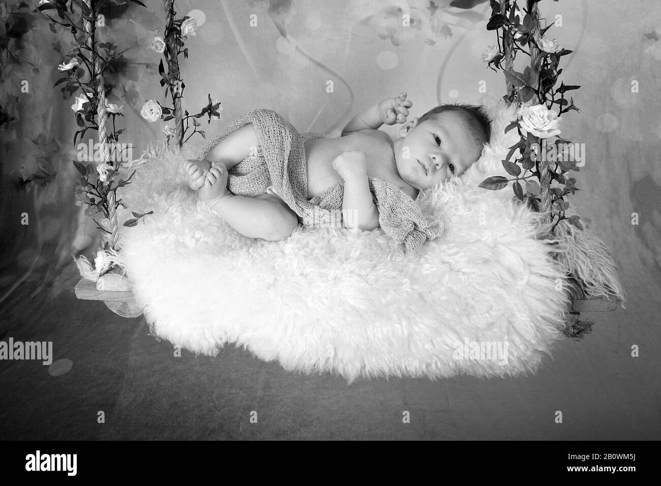 Beautiful baby boy Stock Photo Alamy