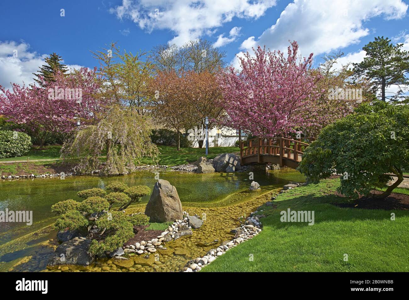 Japanese garden in Bad Langensalza, Thuringia, Germany, Europe Stock Photo