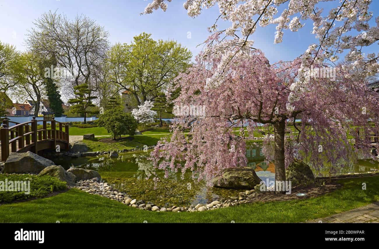 Japanese garden in Bad Langensalza, Thuringia, Germany, Europe Stock Photo