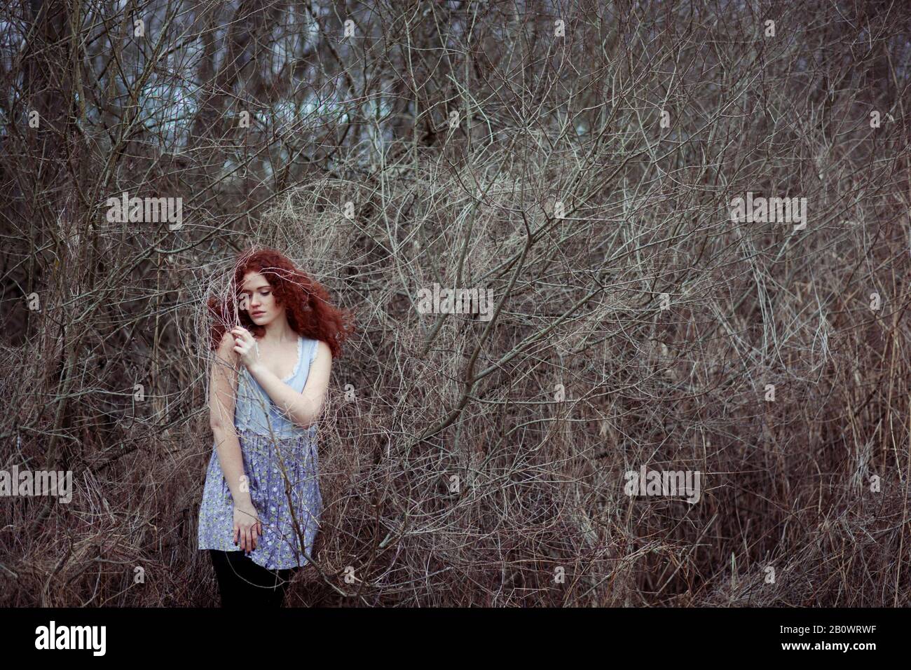 Woman with long red hair between branches, portrait Stock Photo - Alamy