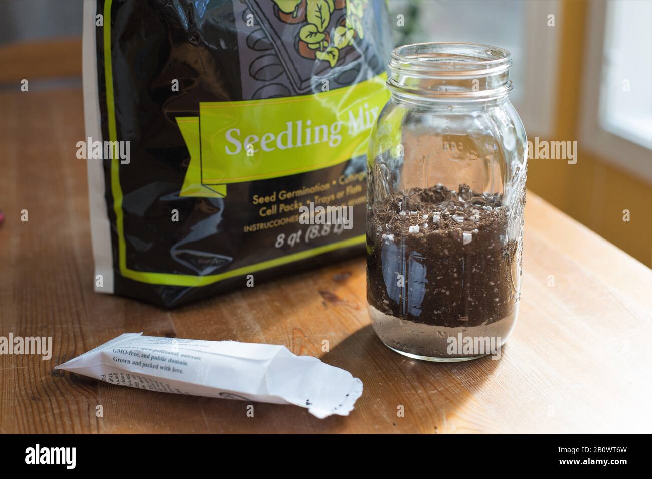 Starting seeds in a garden jar Stock Photo Alamy