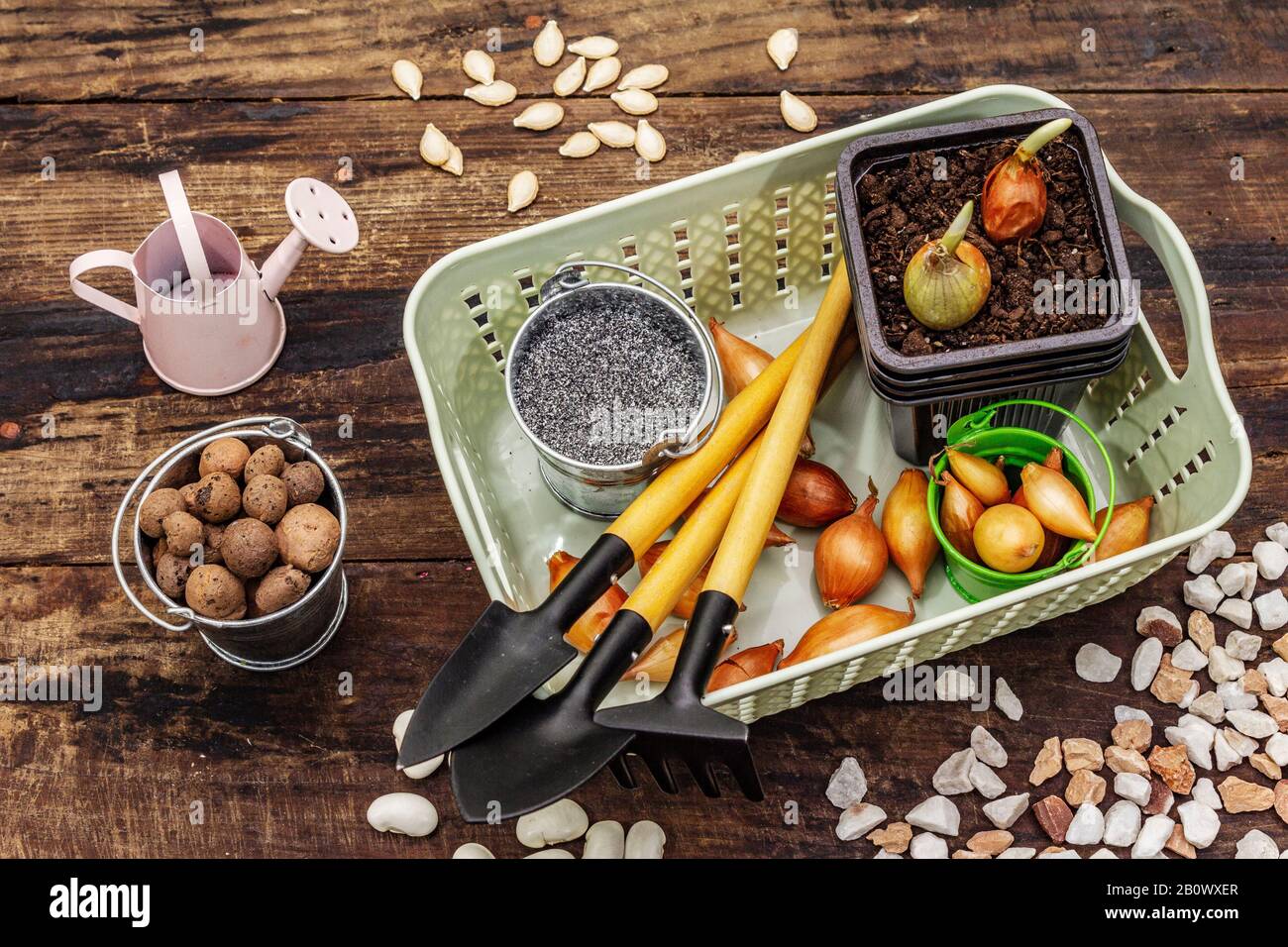 Spring planting and gardening concept. Tools, watering can, fresh onion