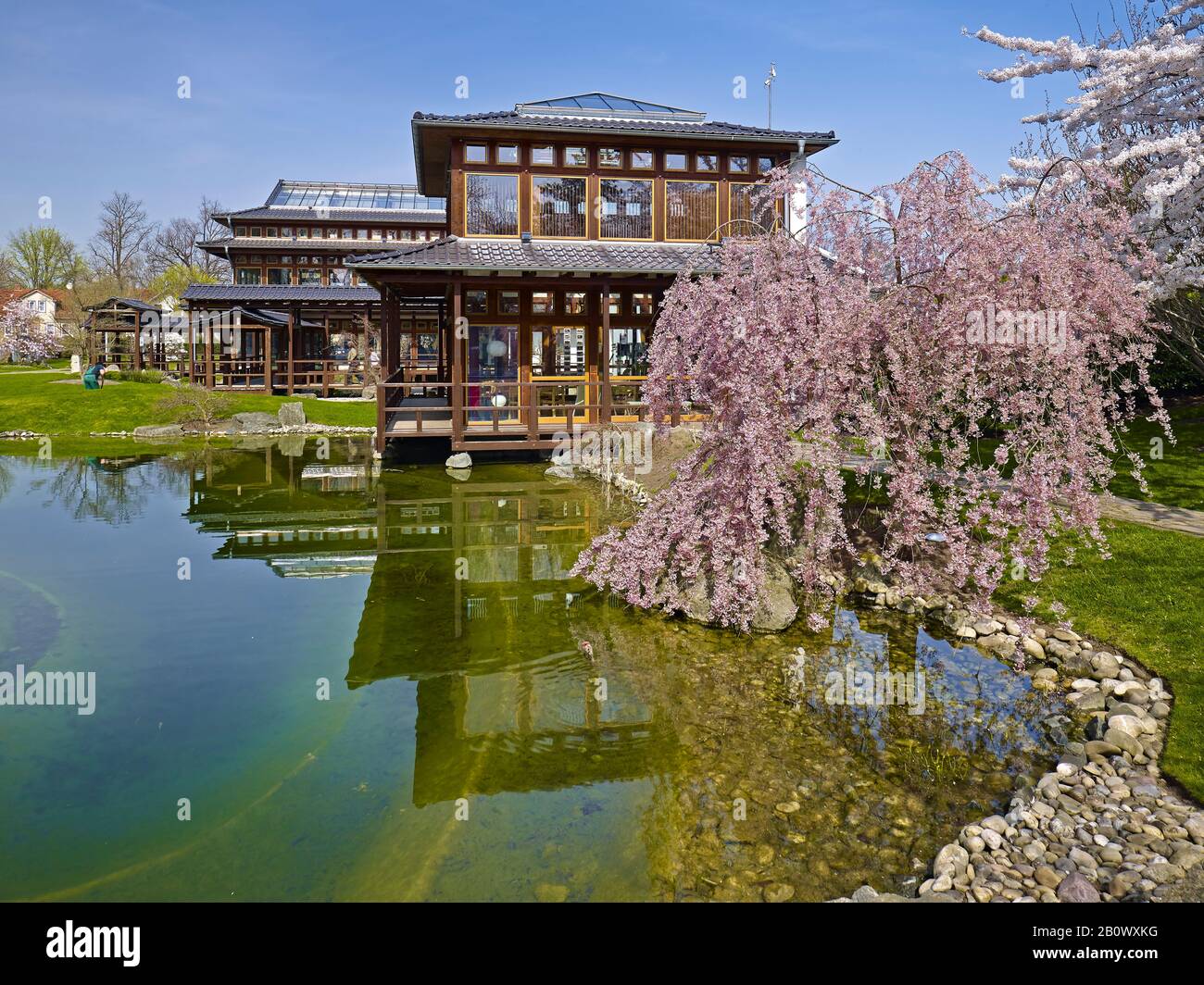 Japanese garden in Bad Langensalza, Thuringia, Germany, Europe Stock