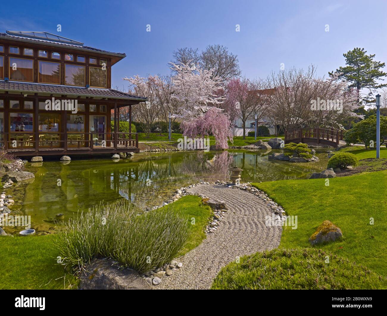 Japanese garden in Bad Langensalza, Thuringia, Germany, Europe Stock