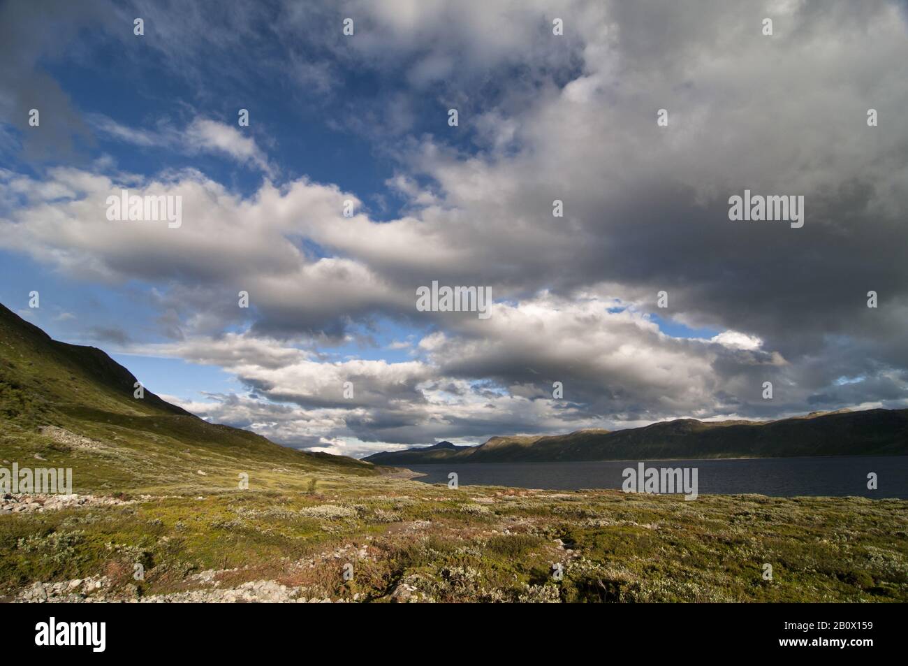 Bygdinsee in fine weather and evening sun, Jotunheimen National Park, Norway, Stock Photo