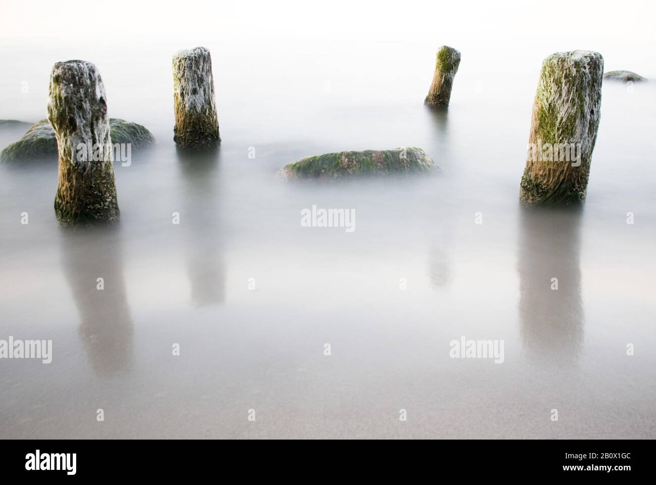 Old wooden groynes in the sea, Stock Photo